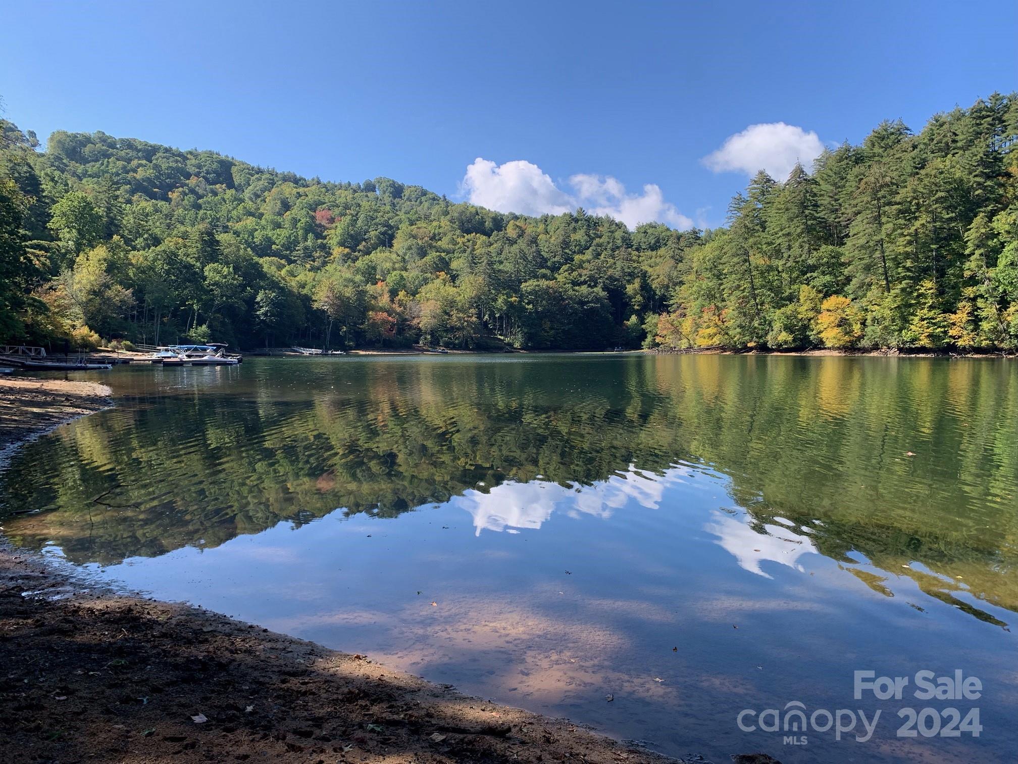 Woods, Cullowhee, Lot,  for sale, Jaci Reynolds, RE/MAX Executive