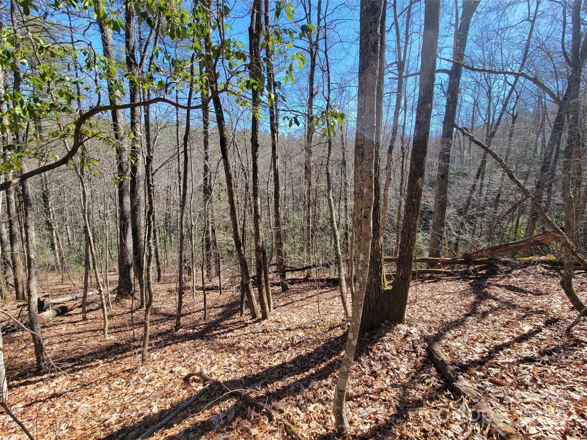 1500 Fenley Forest, Cullowhee, Lot,  for sale, Jaci Reynolds, RE/MAX Executive