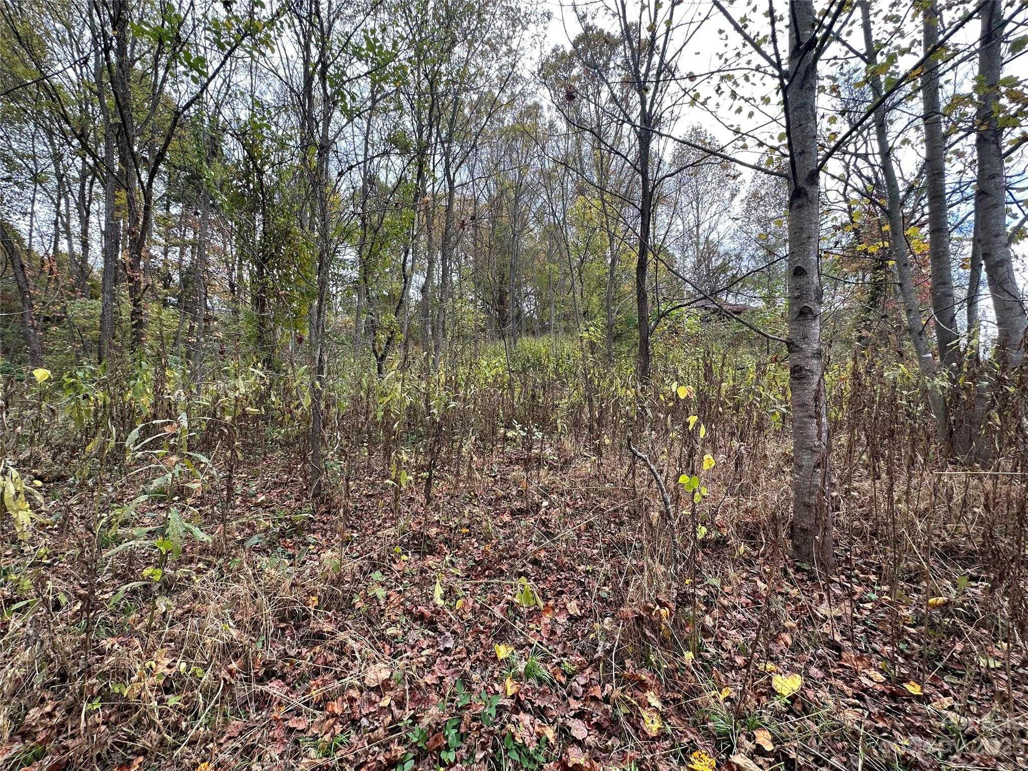 1764 Hyder Mountain, Clyde, Lot,  for sale, Jaci Reynolds, RE/MAX Executive
